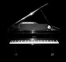 Fazioli Ebony Concert Grand Basic edition
