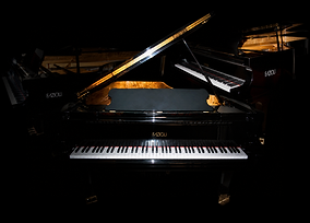 Fazioli Ebony Concert Grand Complete edition
