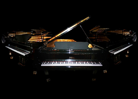 Fazioli Ebony Concert Grand Extreme edition
