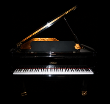 Fazioli Ebony Concert Grand Pro edition