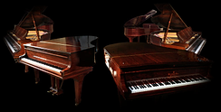 Walnut Concert Grand Piano Extreme edition
