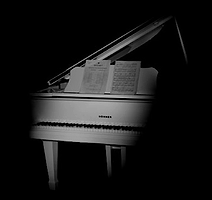 Hohner White Baby Grand Piano Basic edition
