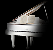 Hohner White Baby Grand Piano Pro edition